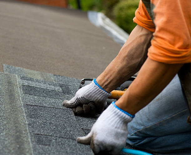 Best Gutter Installation and Roofing  in One Loudoun, VA